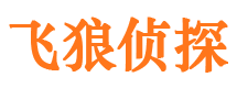 胶州市私家侦探